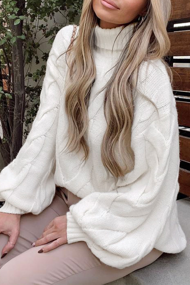 Suéteres casuales de cuello alto de color liso para calle (5 colores)