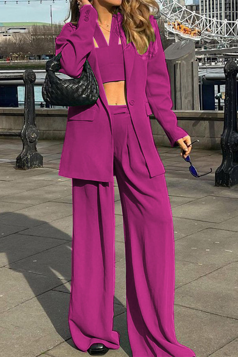 Trabajo Elegante Color Sólido Cuello Vuelto Manga Larga Dos Piezas