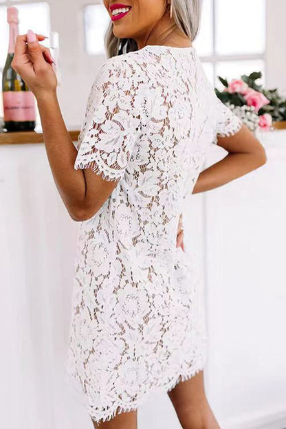 Vestidos de princesa elegantes de celebridades con encaje liso y cuello redondo ahuecado