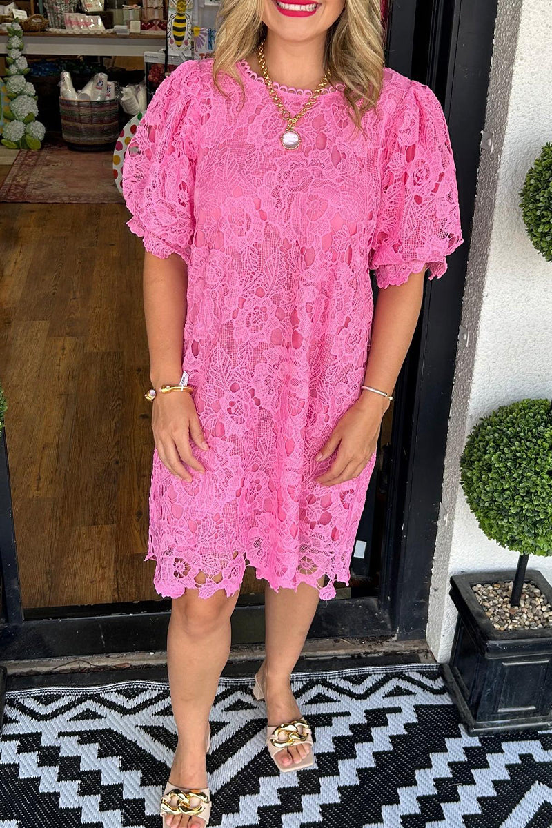 Casual Lace O Neck Short Sleeve Dresses(7 Colors)