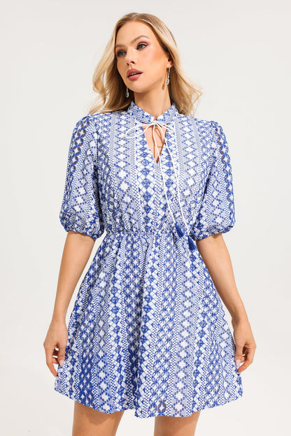 Minivestido con cuello en V y mangas abullonadas bordadas 