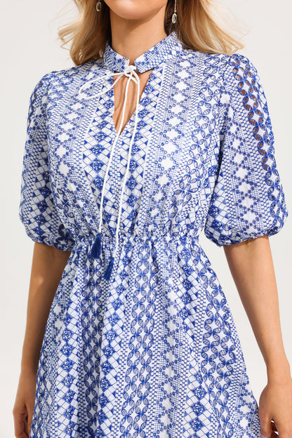 Minivestido con cuello en V y mangas abullonadas bordadas 