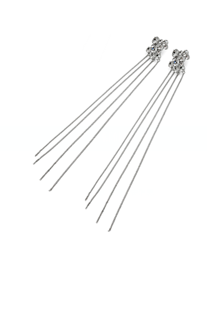 Tassel Long Earrings