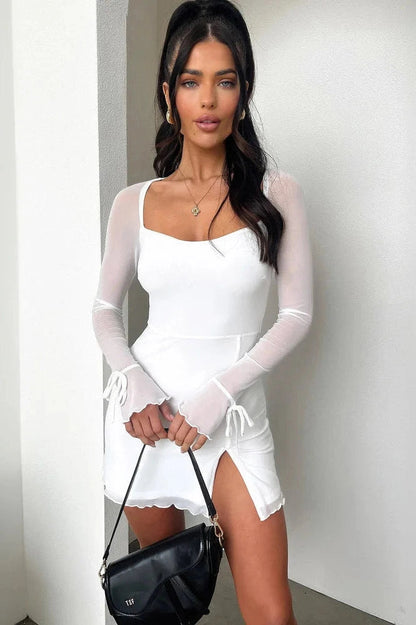Sheer Bodycon Slim Mini Dress