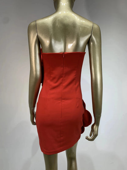 Orenda Strapless Dress with Red Flower Applique