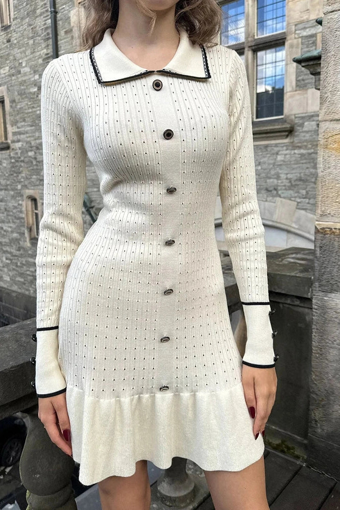 Elegant Long Sleeve Mini Dress