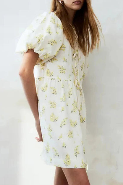 Puff Sleeve Tie Up Hollow Neck A-Line Mini Dress