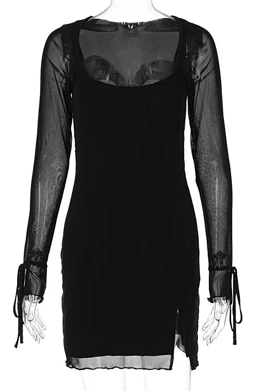 Sheer Bodycon Slim Mini Dress