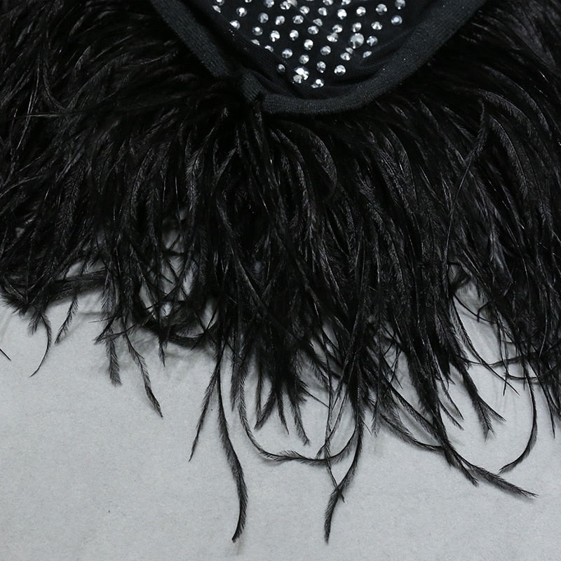 Nathalie Mesh Rhinestone Feather Dress with Long Sleeves