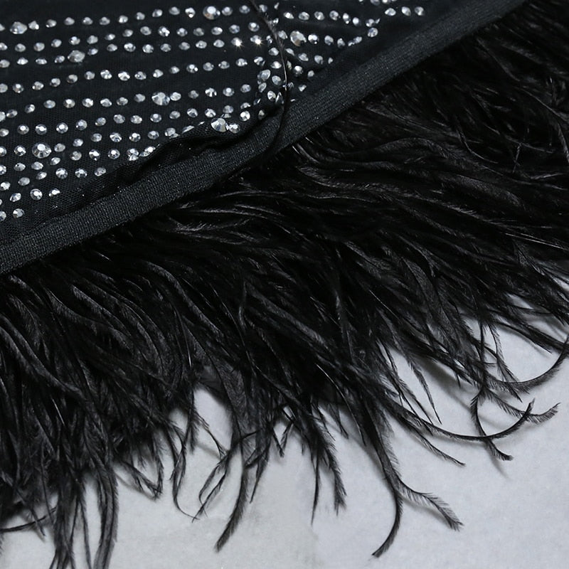 Nathalie Mesh Rhinestone Feather Dress with Long Sleeves