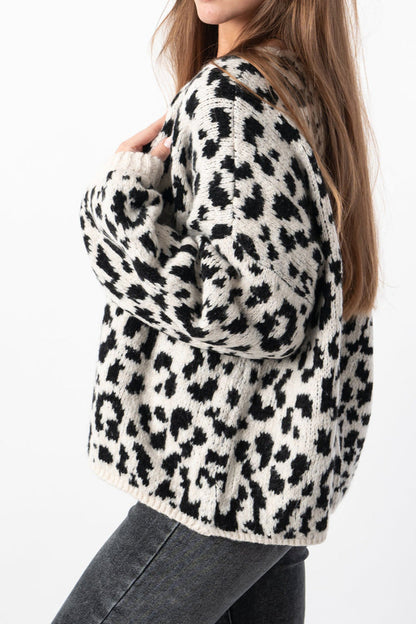 Loose Fit Colorblock Cardigan