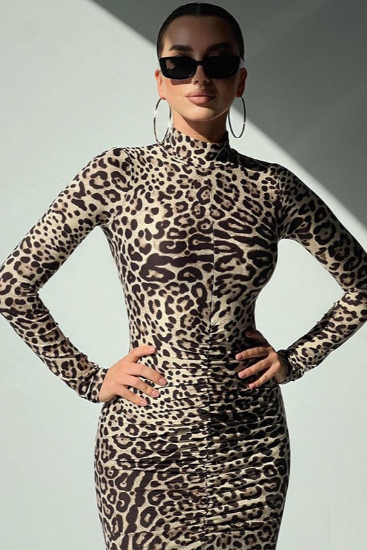 Leopard Print Long Sleeve High Neck Maxi Dress